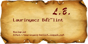 Laurinyecz Bálint névjegykártya